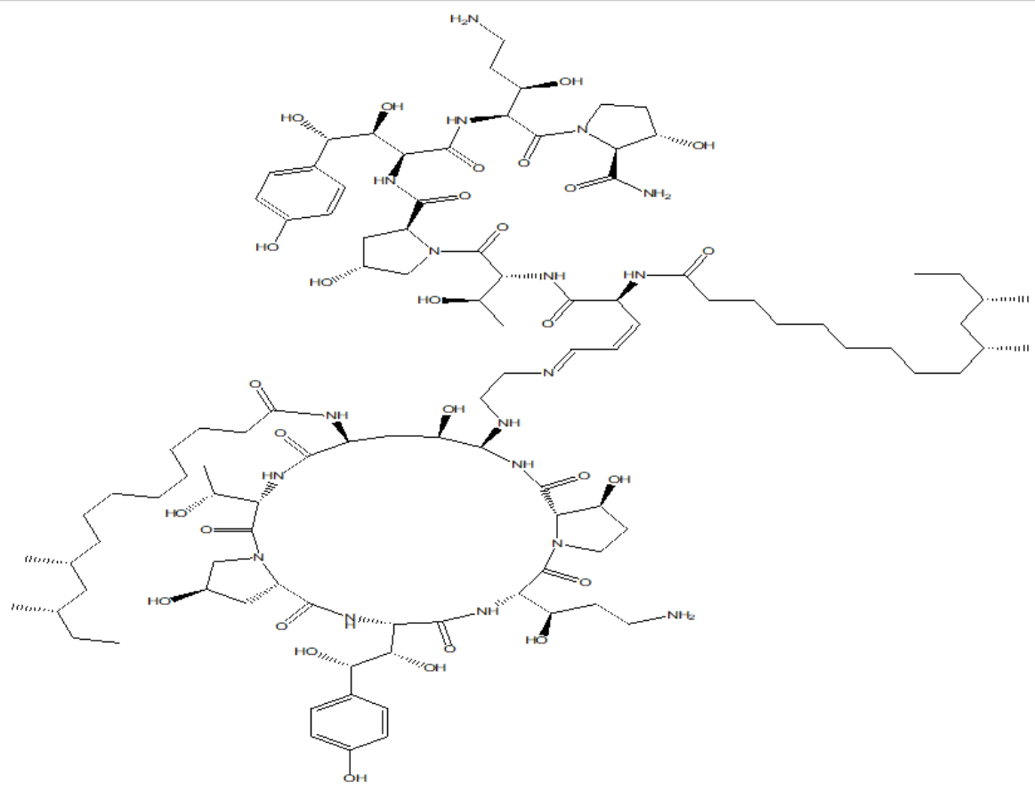 CASPOFUNGIN IMPURITY 12
